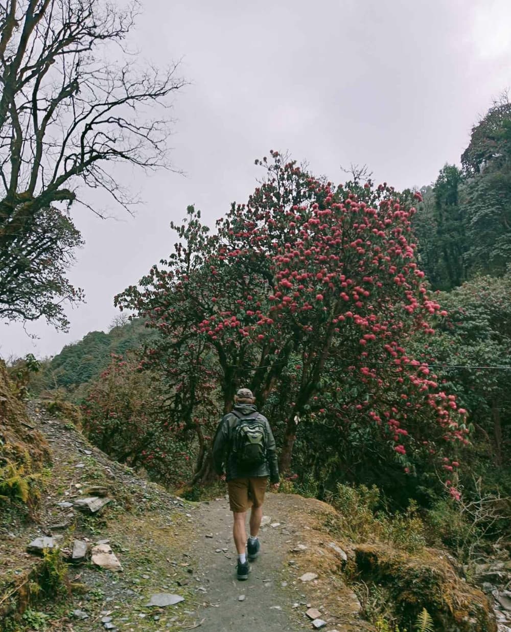 Hire Guide Porter and Permits for Trekking in Nepal