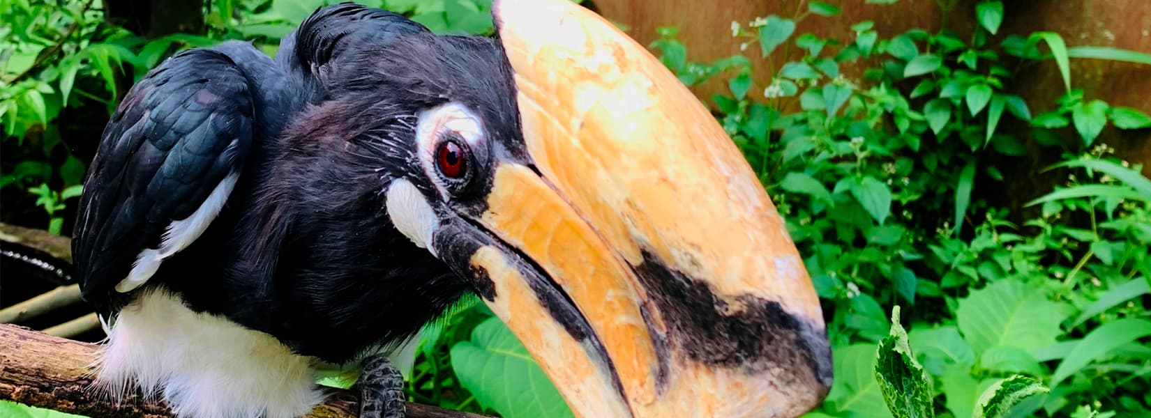 List of National Parks, Conservation Areas, Wildlife Reserves, and Hunting Reserves of Nepal