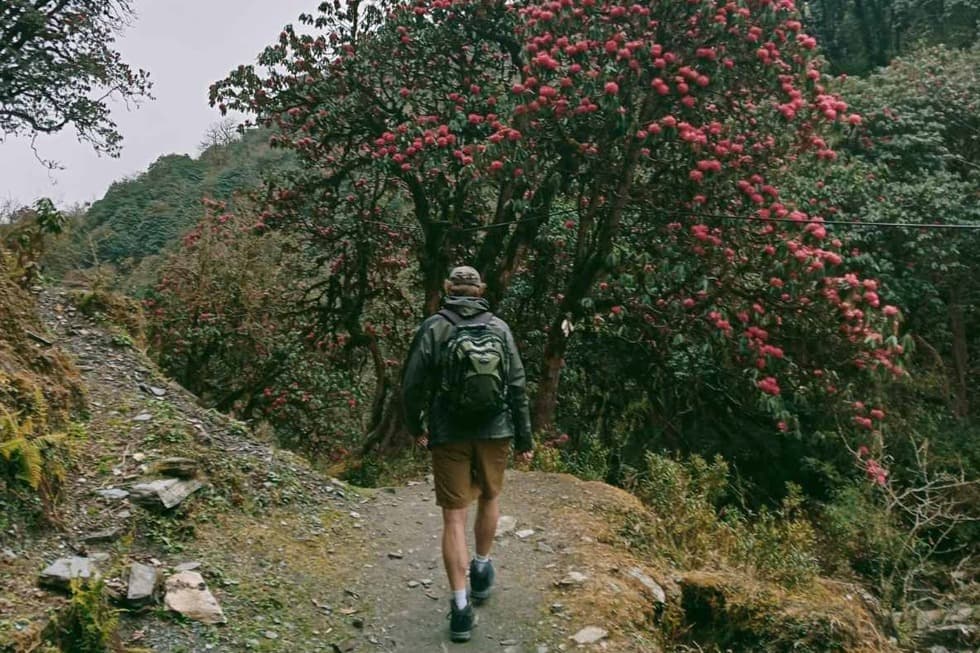 Hire Guide Porter and Permits for Trekking in Nepal