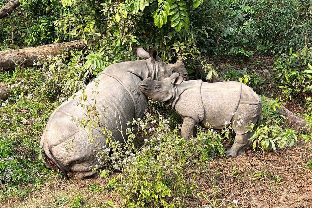 List of National Parks, Conservation Areas, Wildlife Reserves, and Hunting Reserves of Nepal